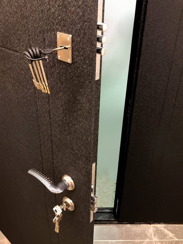 Замки двери (ул. Введенского, 8) Замки двери (ул. Введенского, 8)